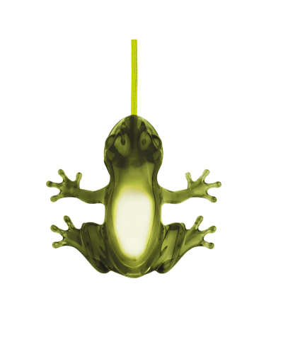 Hungry Frog Lamp