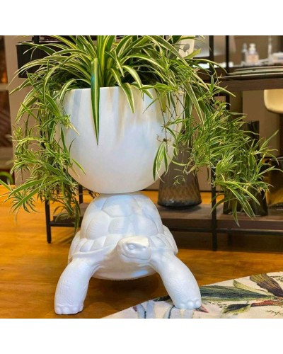 Turtle Carry Planter and Champagne Cooler