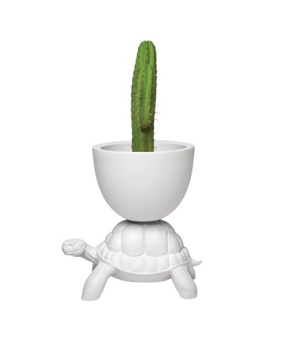 Turtle Carry Planter and Champagne Cooler