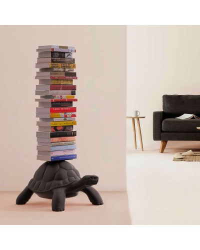 Turtle Carry Bookcase