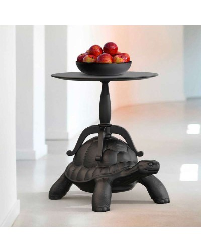 Turtle Carry Coffee Table