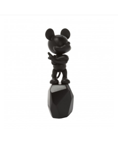 Mickey Rock par Arik Levy